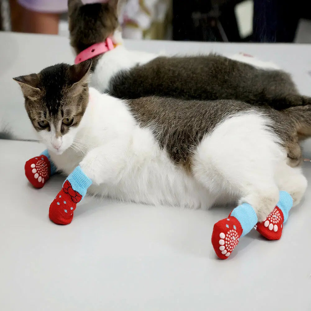 Non-Slip Dog Socks with Paw Print