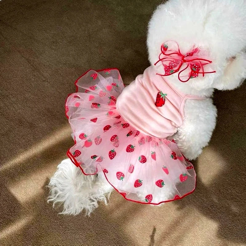 Summer Dog Dress Luxury Dog Strawberry Skirt Lace Dog Princess Dress Chihuahua Bichon Korean Dog Clothes 2024 New Puppy Costume