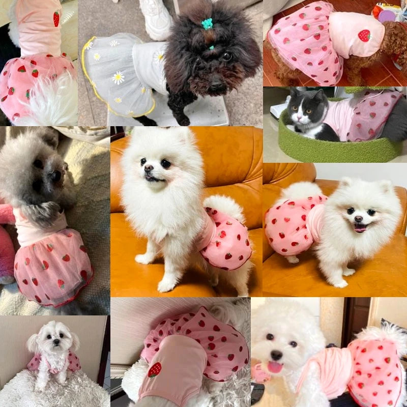 Summer Dog Dress Luxury Dog Strawberry Skirt Lace Dog Princess Dress Chihuahua Bichon Korean Dog Clothes 2024 New Puppy Costume