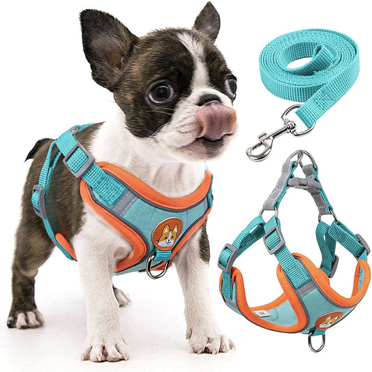 Pet Harness and Reflective Vest