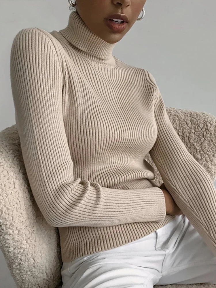 Heliar Turtleneck Sweater Knitted Cashmere Jumpers