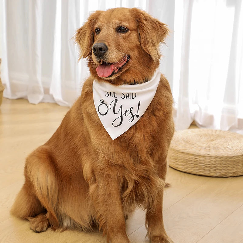 Pet Wedding Triangle Bandanas